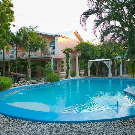 Palm Inn Hotel Port-au-Prince Phòng bức ảnh